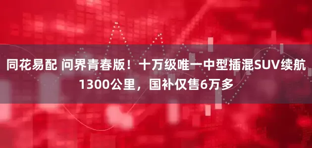 同花易配 问界青春版！十万级唯一中型插混SUV续航1300公里，国补仅售6万多