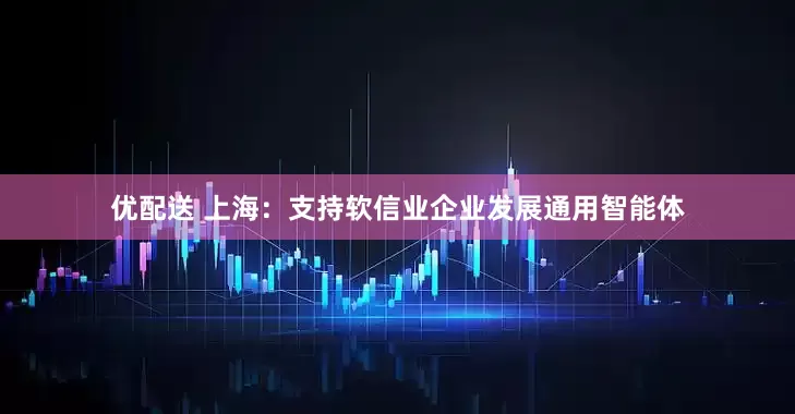 优配送 上海：支持软信业企业发展通用智能体