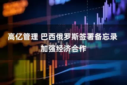 高亿管理 巴西俄罗斯签署备忘录 加强经济合作