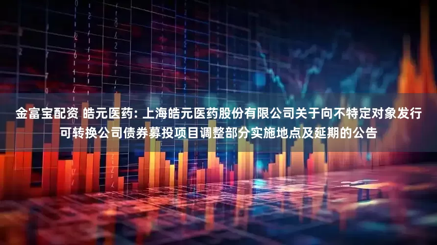 金富宝配资 皓元医药: 上海皓元医药股份有限公司关于向不特定对象发行可转换公司债券募投项目调整部分实施地点及延期的公告