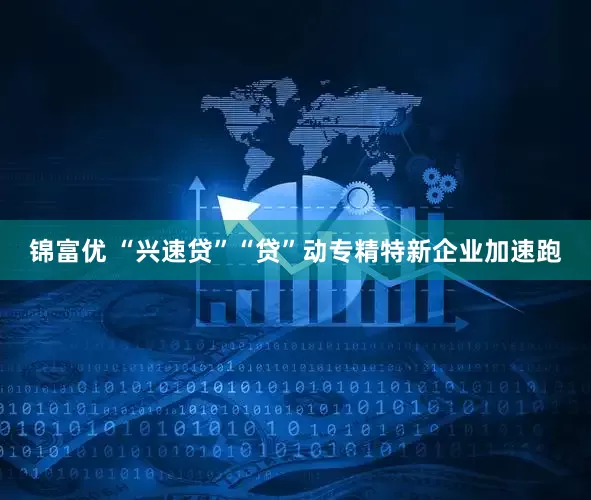 锦富优 “兴速贷”“贷”动专精特新企业加速跑